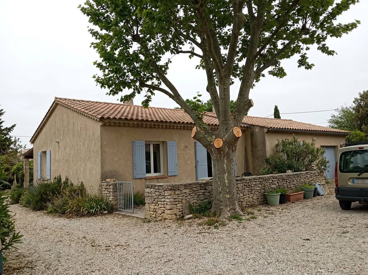 Élagage : après les travaux