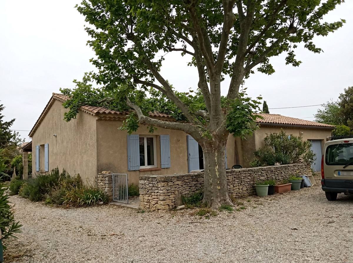 Élagage : avant les travaux