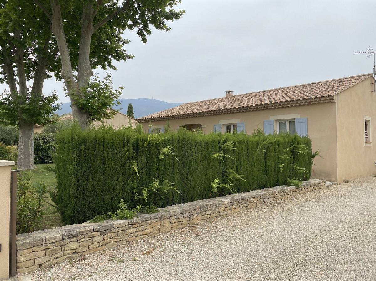 Taille de haies : avant les travaux